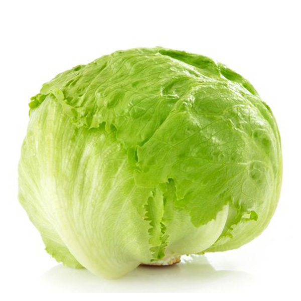 Iceberglettuce